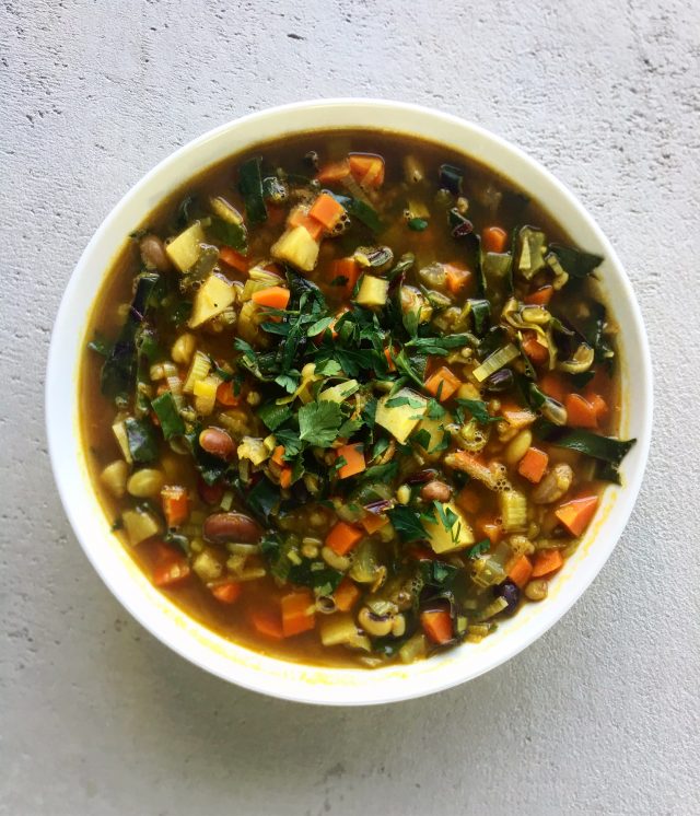 Paris Bistro Soup plantforward living